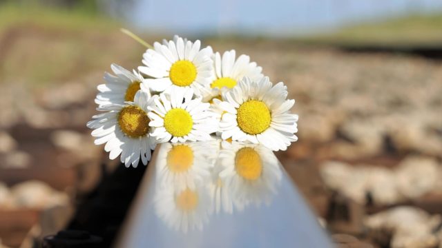 Suicide: The Last Mental Health Taboo in the Workplace?