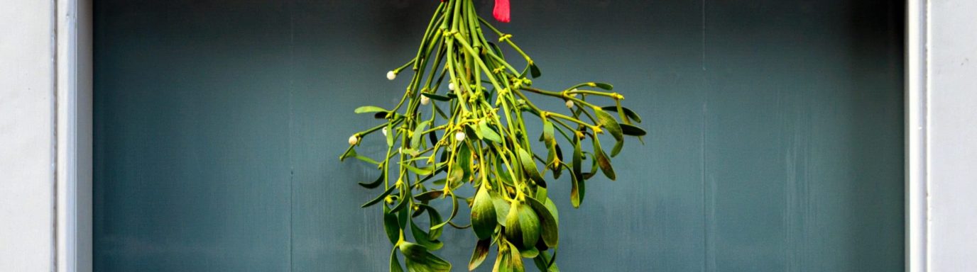 A bunch of mistletoe hanging above a door