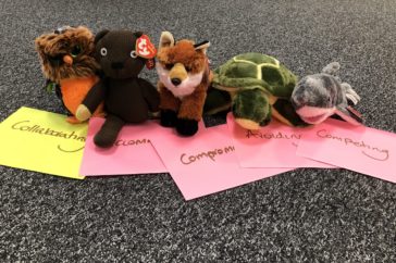 A row of soft toys lay on top of post-it notes which have labels on