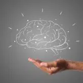 A drawn image of a brain with hand underneath