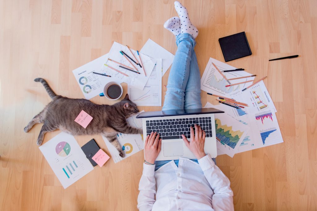A woman sat on the floor working with her cat laying beside her, cat has a post-it note stuck to them