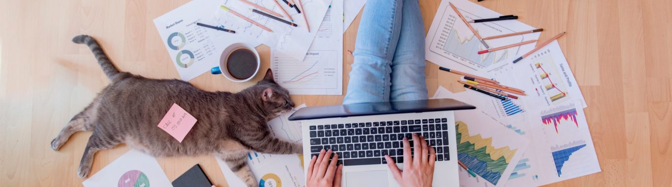 An employee sat on the floor working with her cat laying beside her