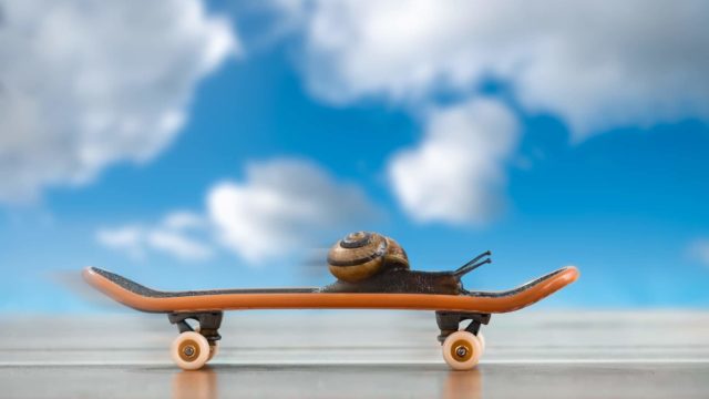 Accelerated Learning: How to apply the principles in a virtual classroom