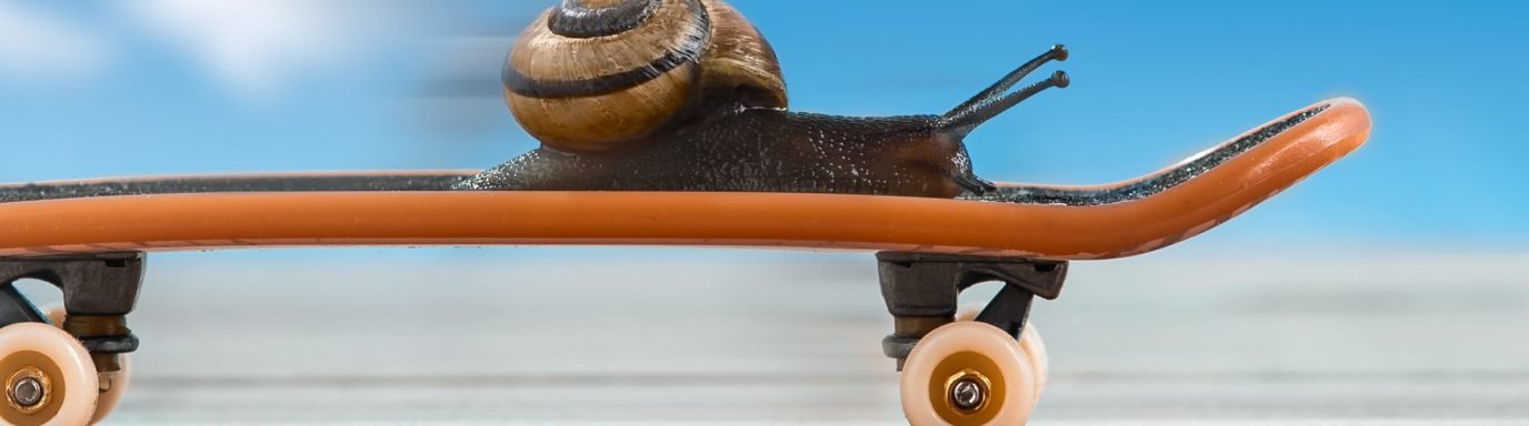 A Snail riding a skateboard