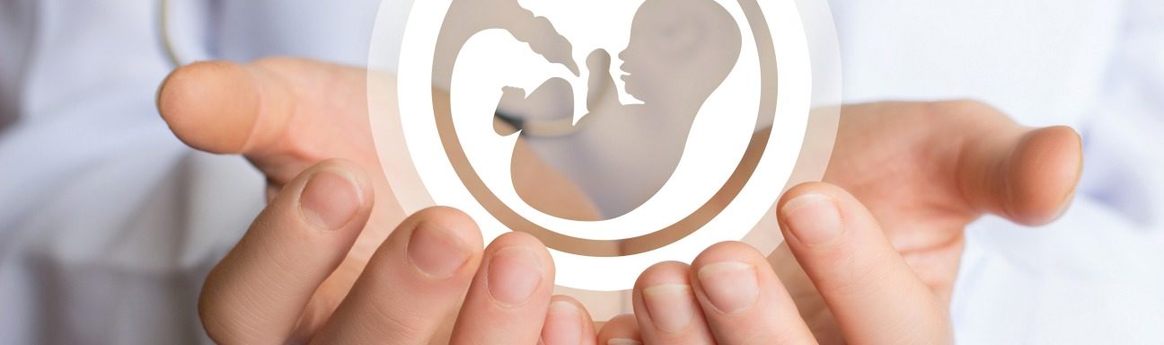 Fertility in the Workplace: An Action Plan for Employers & Managers